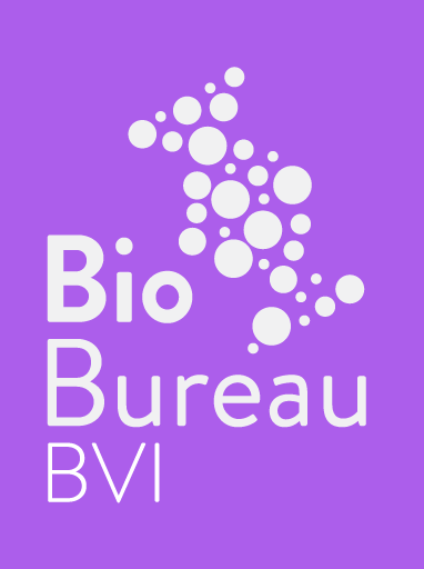 BioB BVI N